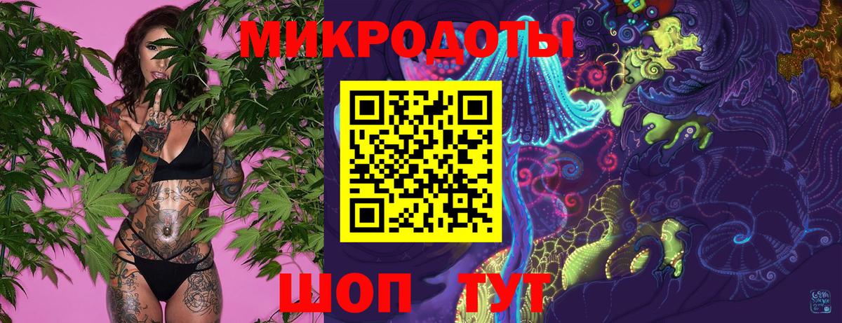 Галлюциногенные грибы Psilocybine cubensis Тында