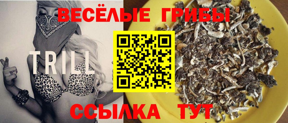 Тында  где продают   Вход с VPN  Псилоцибиновые грибы мицелий 